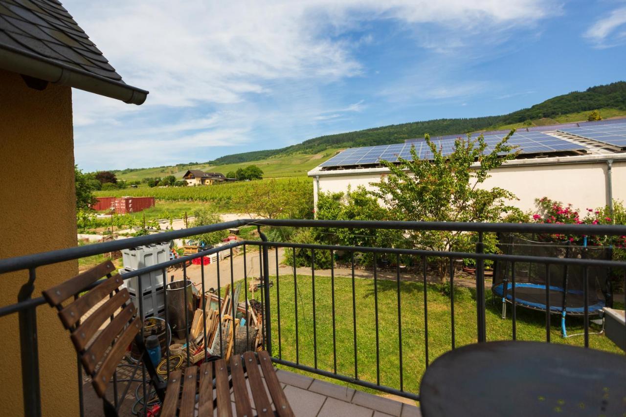 Penzion Bio-Weingut Staffelter Hof Kröv Exteriér fotografie
