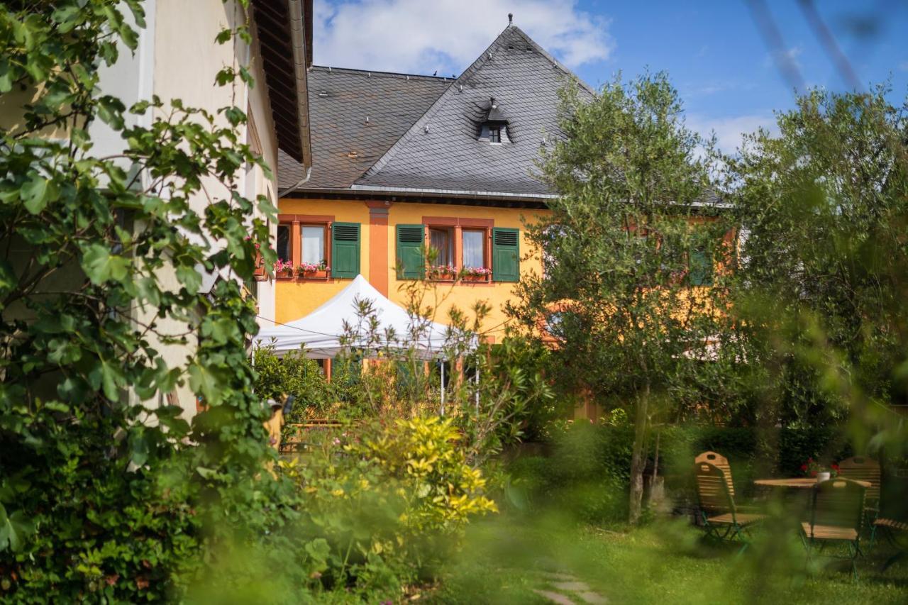 Penzion Bio-Weingut Staffelter Hof Kröv Exteriér fotografie