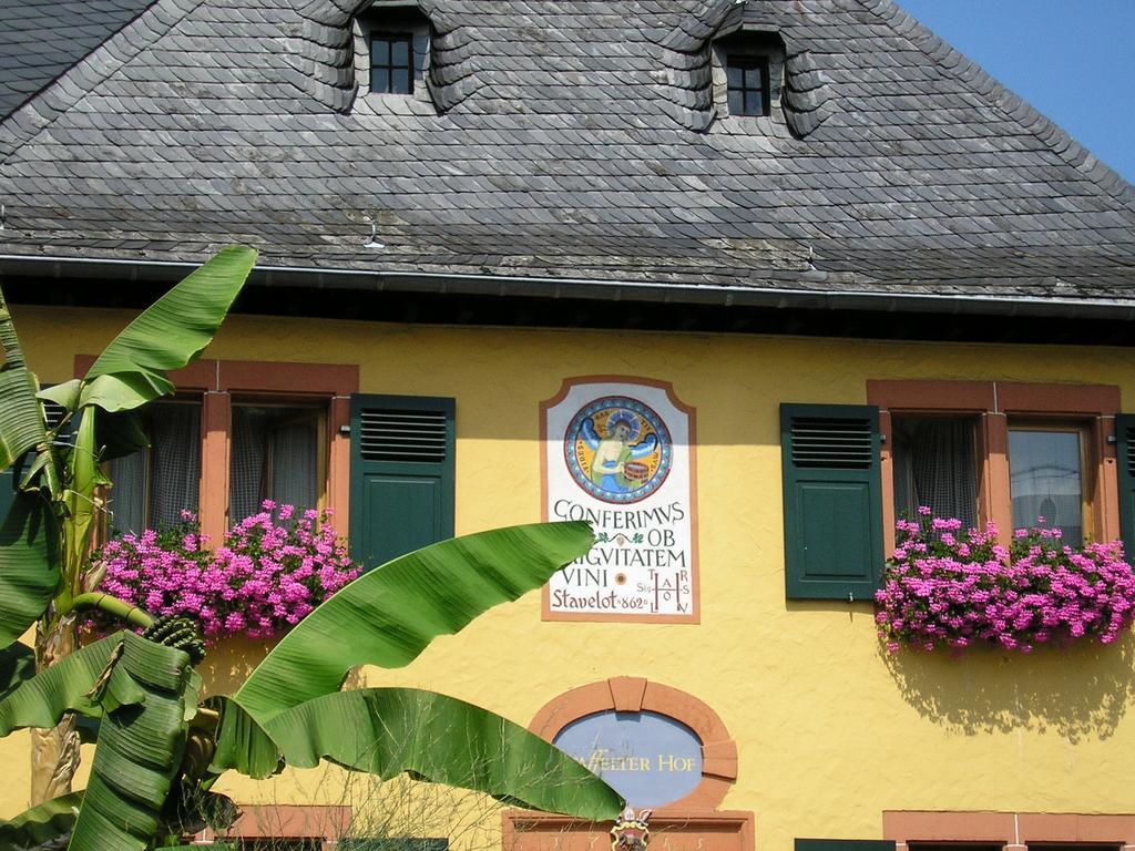 Penzion Bio-Weingut Staffelter Hof Kröv Exteriér fotografie